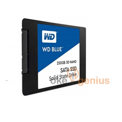 SSD BLUE 250 GB [WDS250G2B0A]