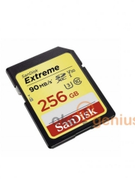 Extreme SDHC 256GB