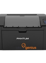 Printer P2500W