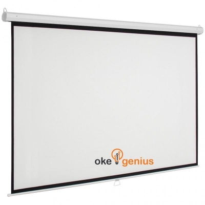 Manual Screen 189X225 cm (100