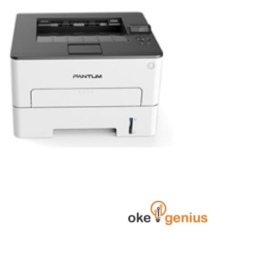 Printer P3305DW