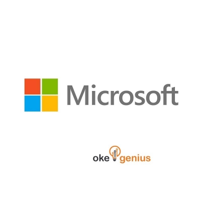 MICROSOFT Windows Server 2019 Standard Maksimal 16 Core - Government